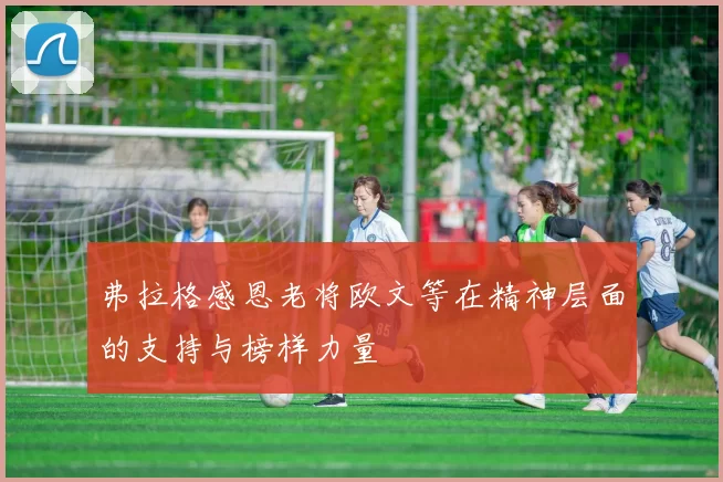 弗拉格感恩老将欧文等在精神层面的支持与榜样力量